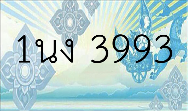 1นง 3993